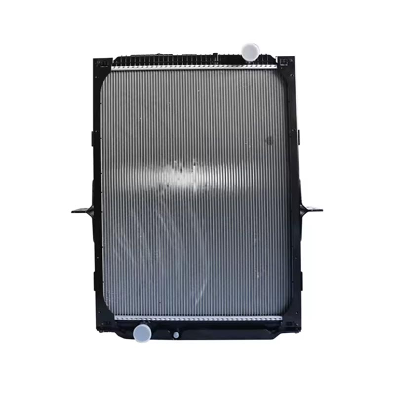 Dzinēja piederumu radiators DZ91125328